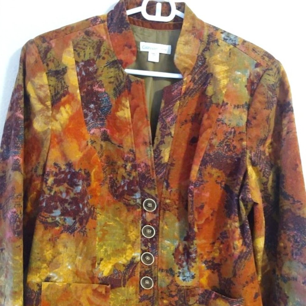 Coldwater Creek: Gorgeous Multi-hue Autumn Colors Jacket